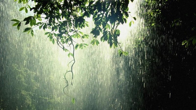 Дождливые картинки (100 фото) #50
