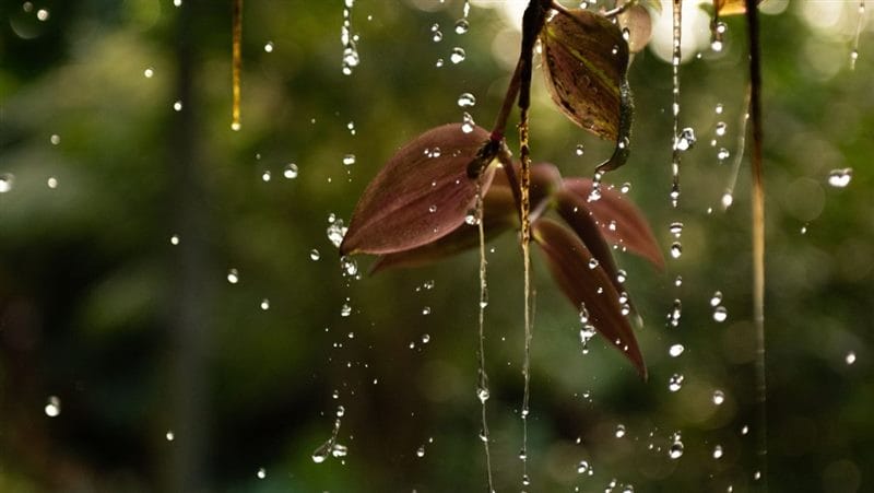 Дождливые картинки (100 фото) #97