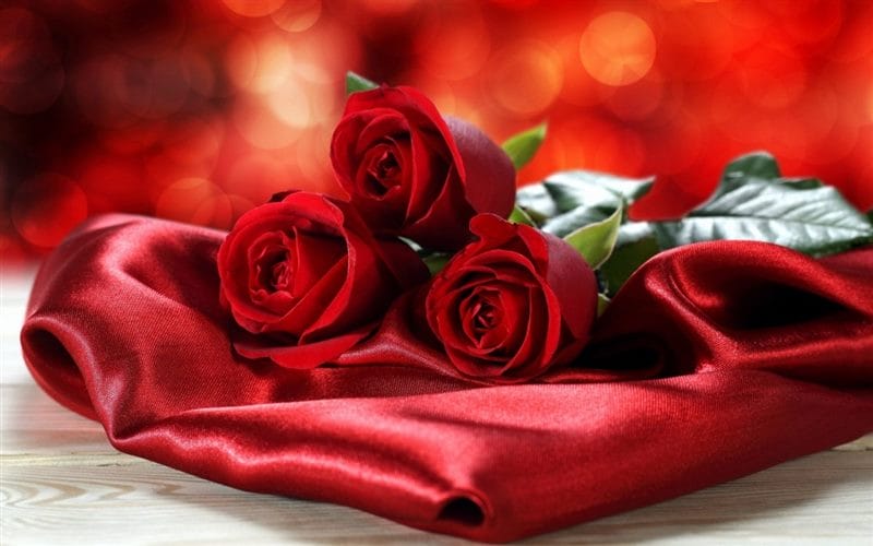 Картинки красные розы (100 фото) #58