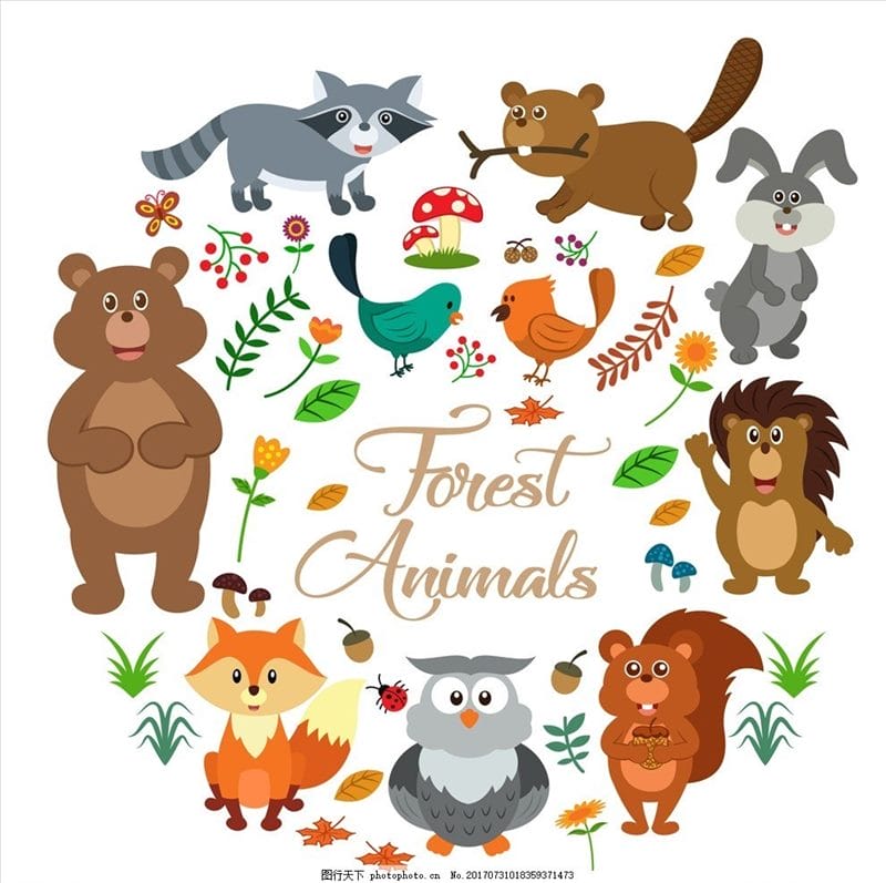 Картинки лесные животные (100 фото) #70