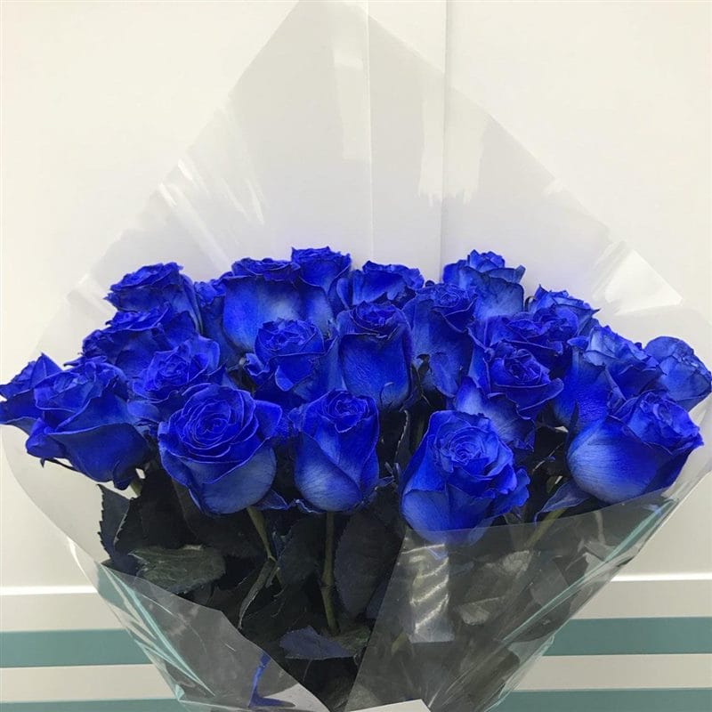 Картинки синие розы (100 фото) #22