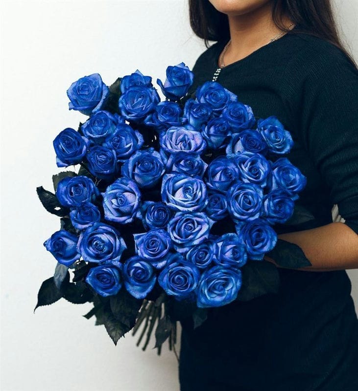 Картинки синие розы (100 фото) #38