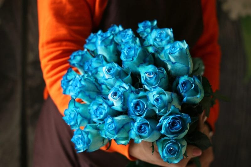 Картинки синие розы (100 фото) #71