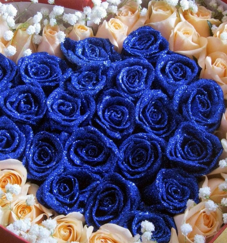 Картинки синие розы (100 фото) #7