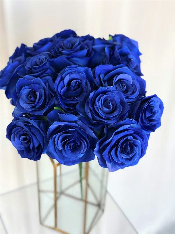 Картинки синие розы (100 фото) #13