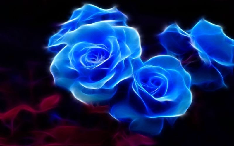 Картинки синие розы (100 фото) #93