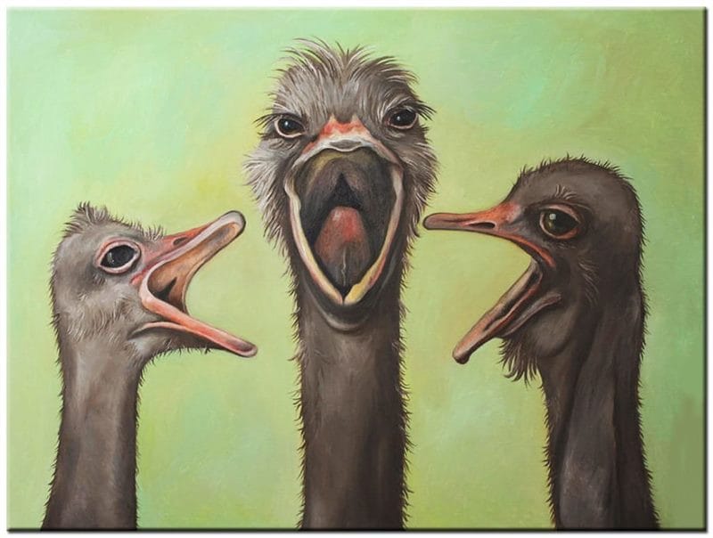 Картинки страусы (100 фото) #77