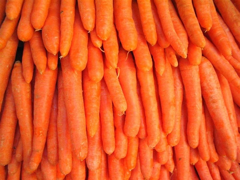 Картинки морковь (100 фото) #21