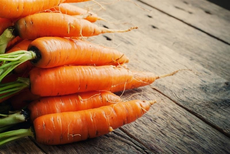 Картинки морковь (100 фото) #33