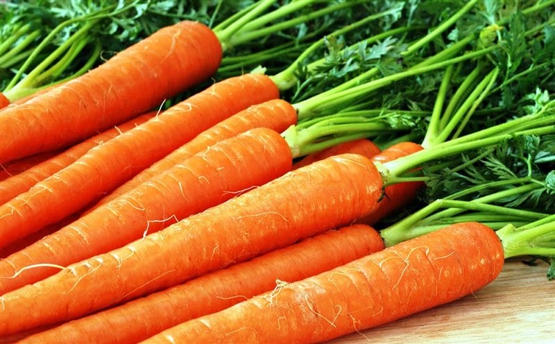 Картинки морковь (100 фото) #1
