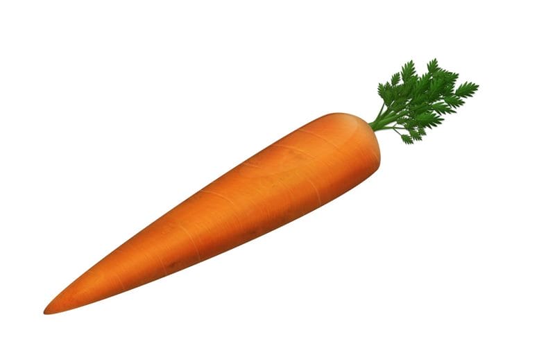 Картинки морковь (100 фото) #82