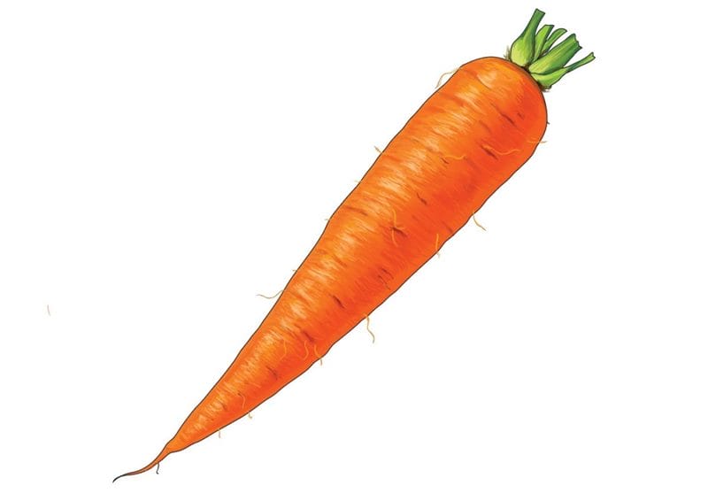 Картинки морковь (100 фото) #80