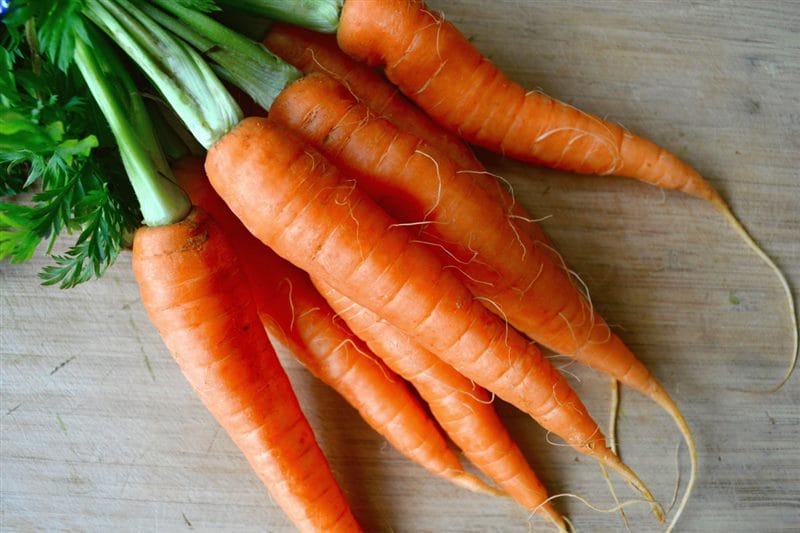 Картинки морковь (100 фото) #30