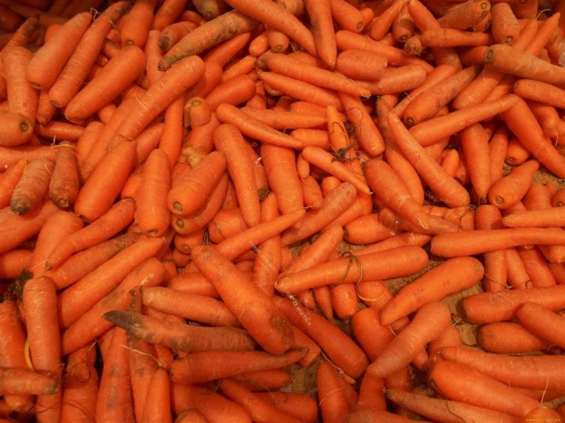 Картинки морковь (100 фото) #10