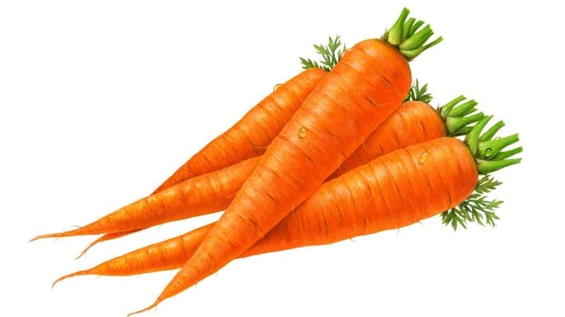 Картинки морковь (100 фото) #73