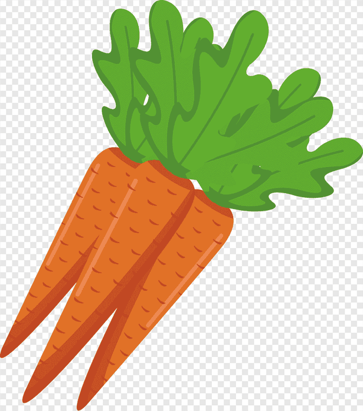 Картинки морковь (100 фото) #50