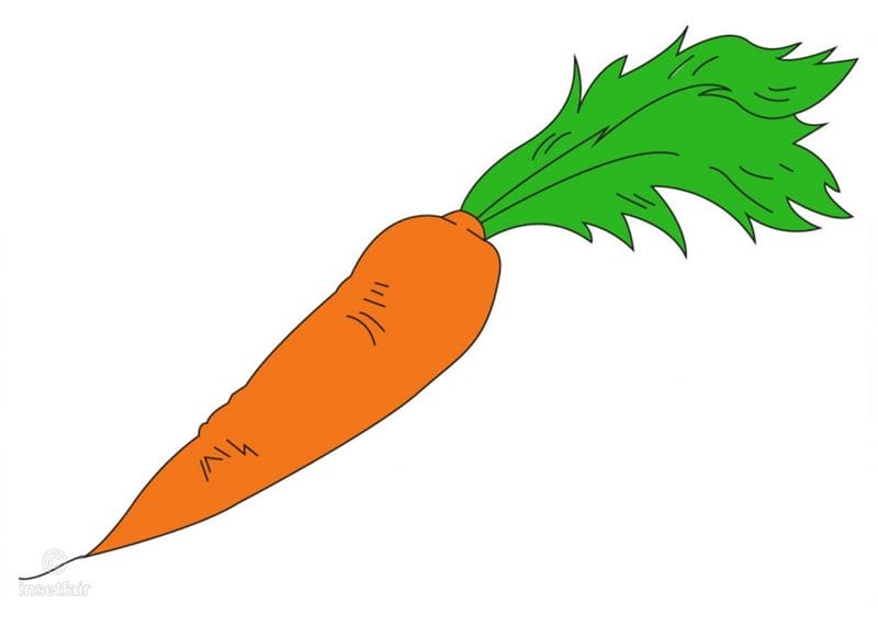Картинки морковь (100 фото) #81