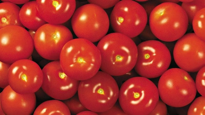 Картинки томаты (100 фото) #60