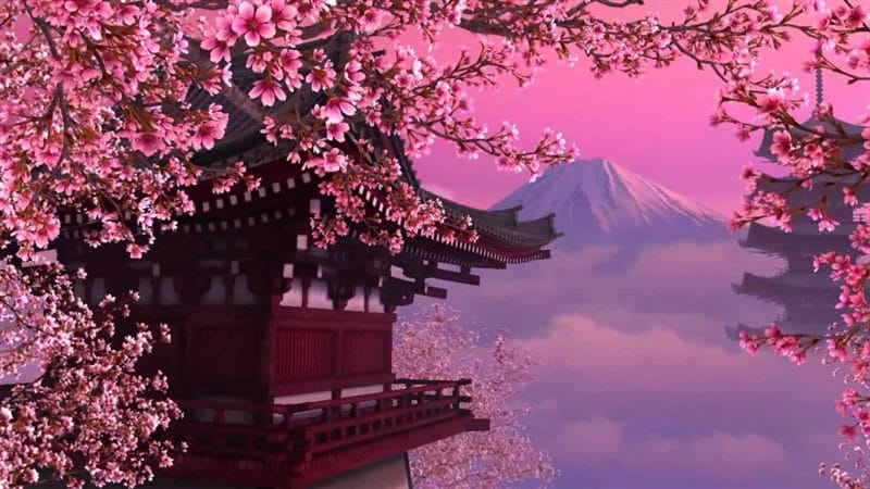 Картинки цветущая сакура (100 фото) #45