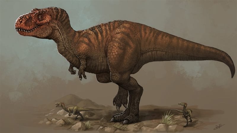 Картинки тираннозавры (100 фото) #79