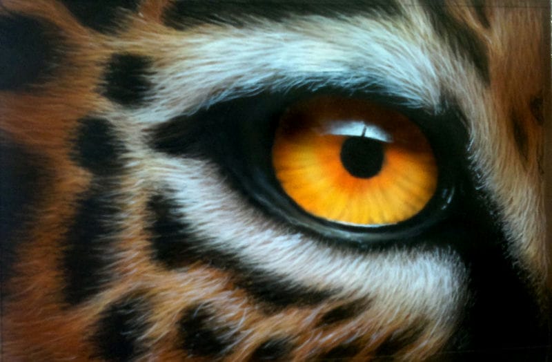 Картинки глаза животных (100 фото) #55