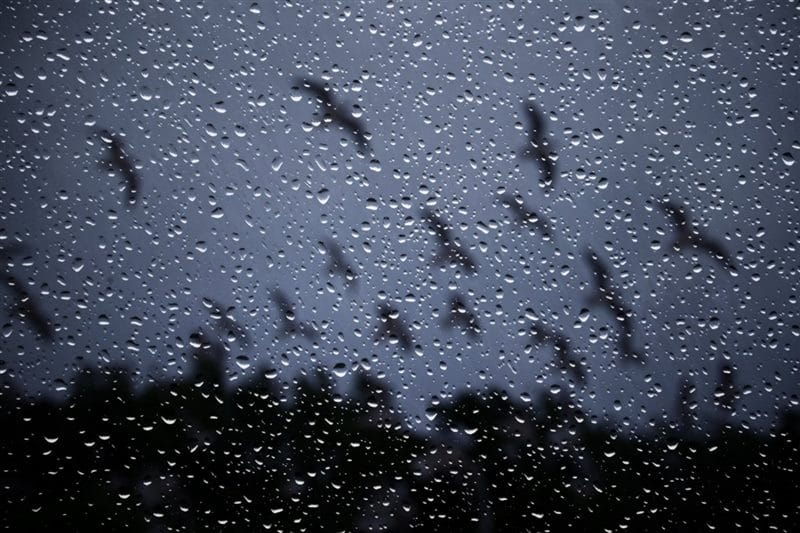 Картинки капли дождя (100 фото) #34
