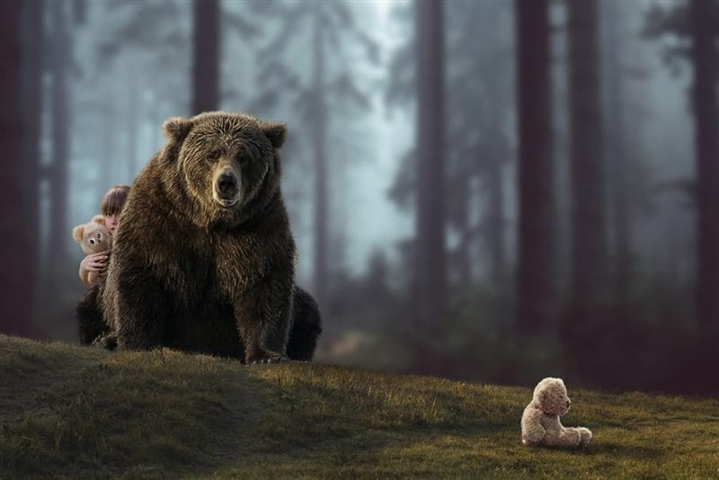 Картинки медведи гризли (100 фото) #89