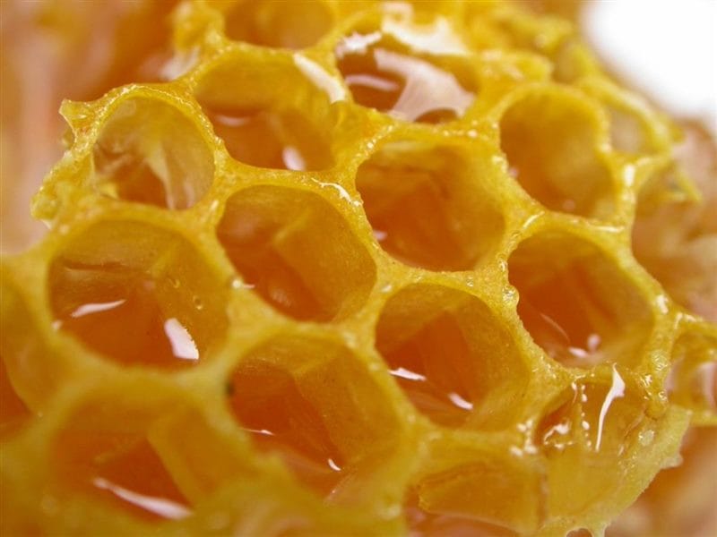 Картинки мед в сотах (70 фото) #57