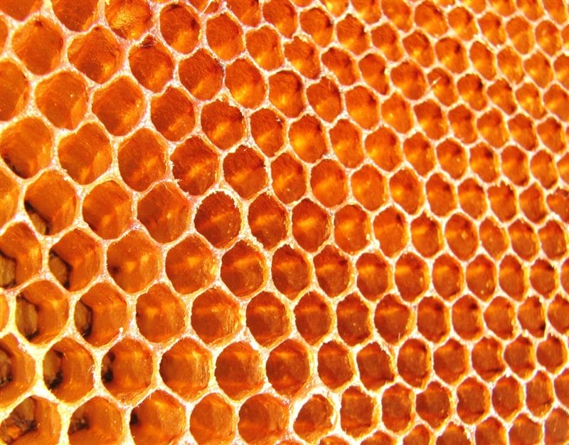 Картинки мед в сотах (70 фото) #16