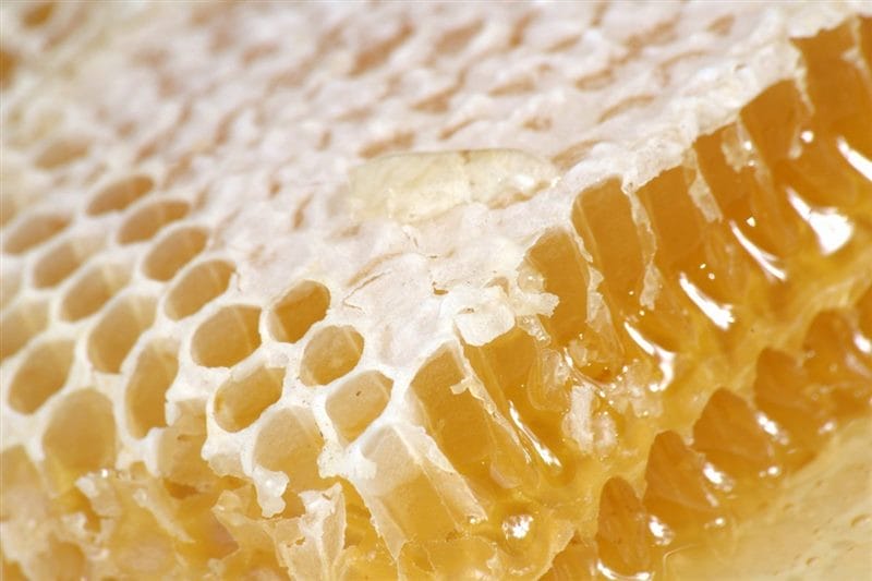 Картинки мед в сотах (70 фото) #7