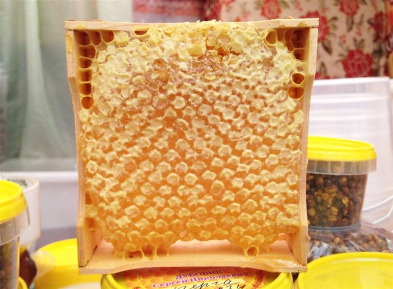 Картинки мед в сотах (70 фото) #34
