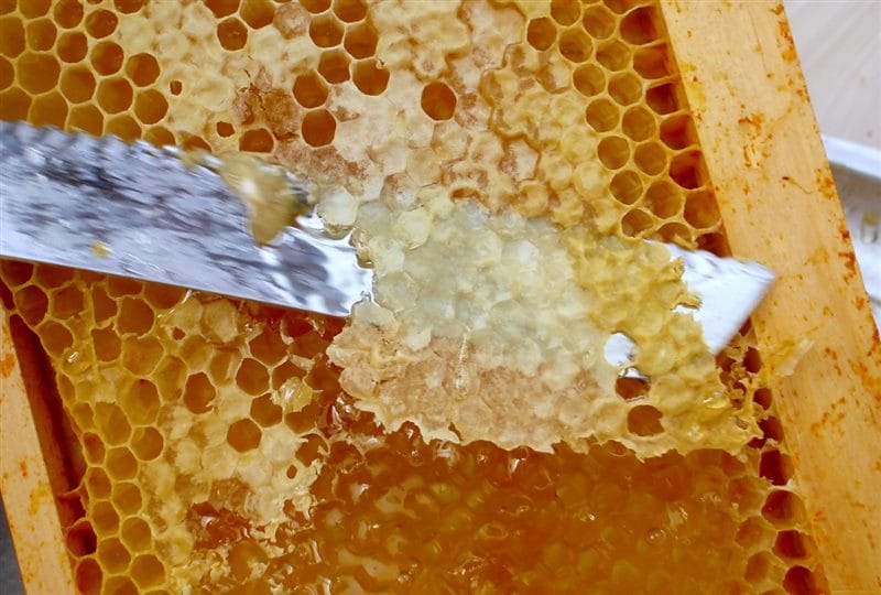 Картинки мед в сотах (70 фото) #33