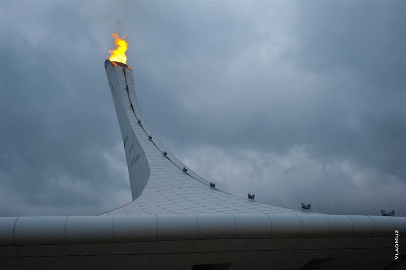 Картинки олимпийский огонь (70 фото) #60