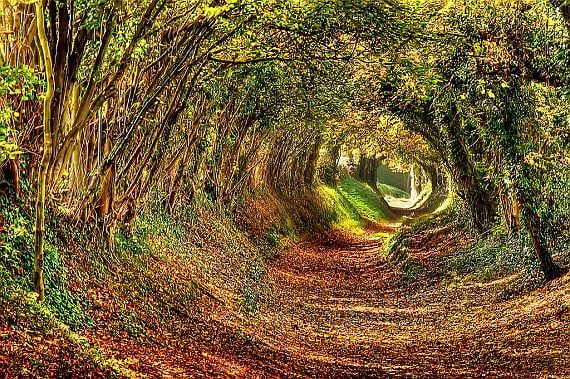 Невероятно красивые картинки - тоннели (25 фото) #2