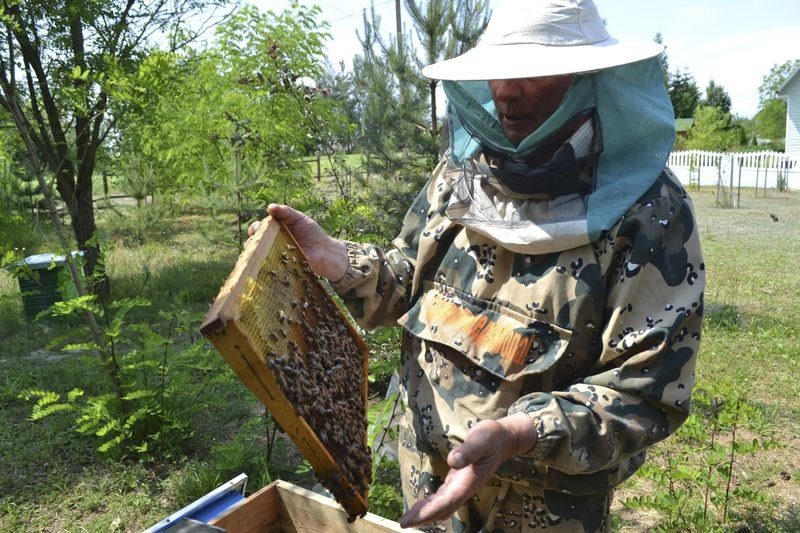 Картинки пчеловод (20 фото) #2