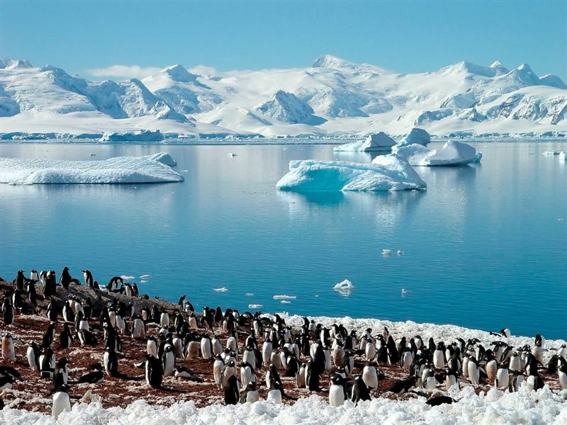Картинки Антарктида (70 фото) #2