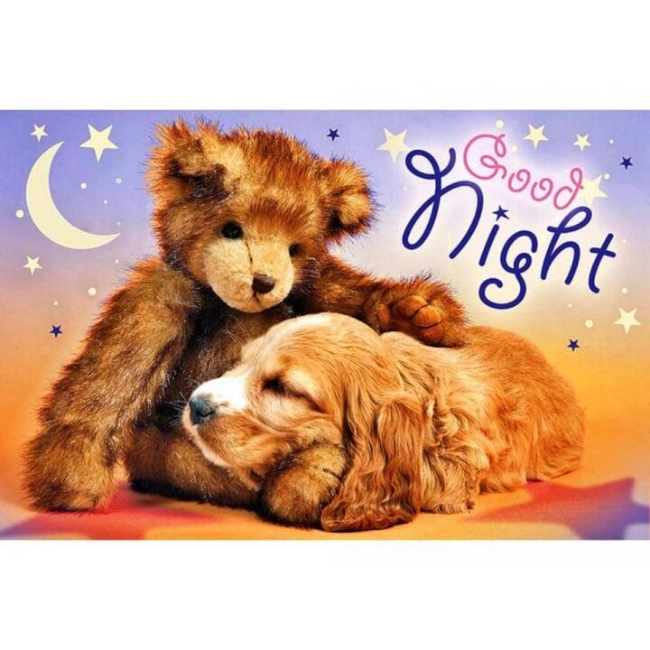 Спокойной ночи и сладких снов! 80 прикольных картинок-открыток #12