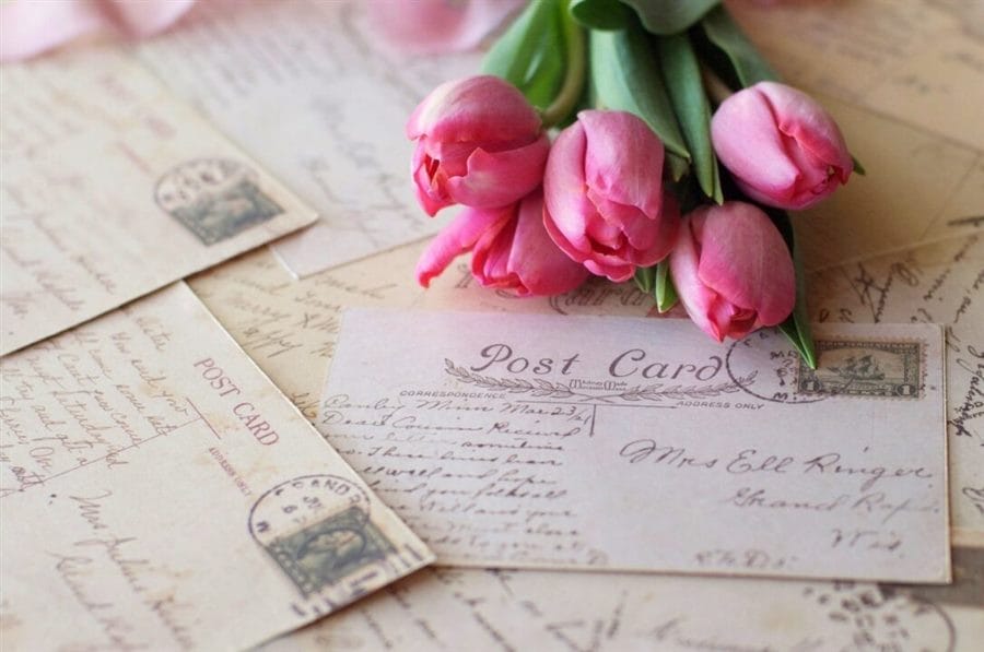 117 красивых открыток с букетами цветов #66