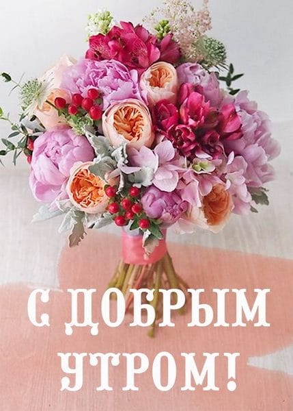 С добрым утром! 138 красивых открыток с цветами #135