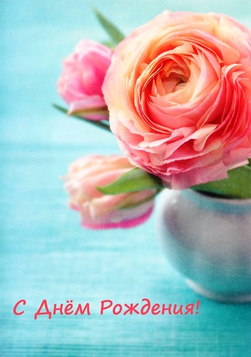 180 открыток на день рождения с букетами роз #42