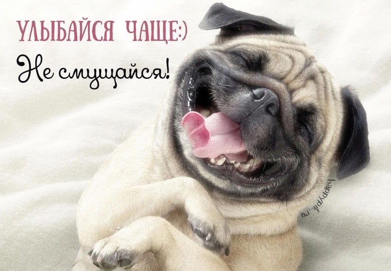 Улыбнись и не грусти! 160 прикольных улыбчивых картинок-открыток #138