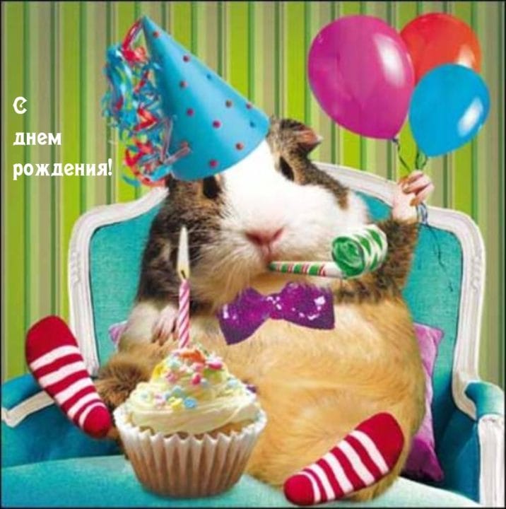 С днем рождения! 430 прикольных открыток со смешными поздравлениями #377