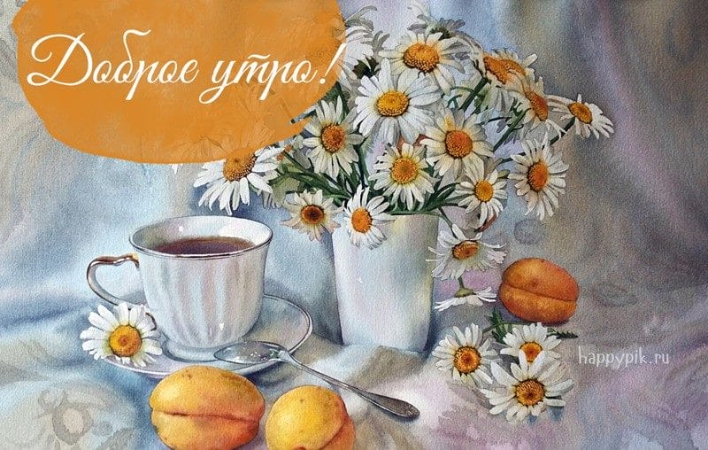 С добрым утром! 138 красивых открыток с цветами #114