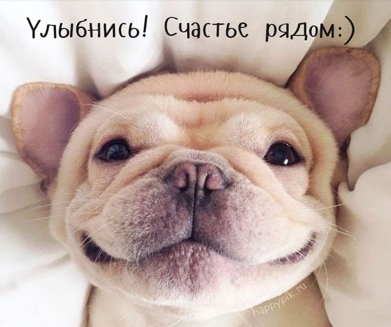 Улыбнись и не грусти! 160 прикольных улыбчивых картинок-открыток #115