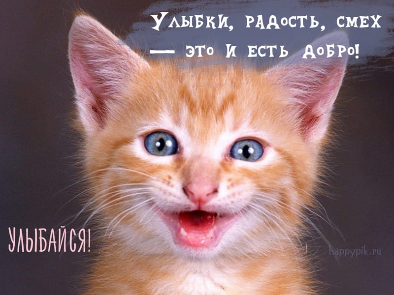 Улыбнись и не грусти! 160 прикольных улыбчивых картинок-открыток #114