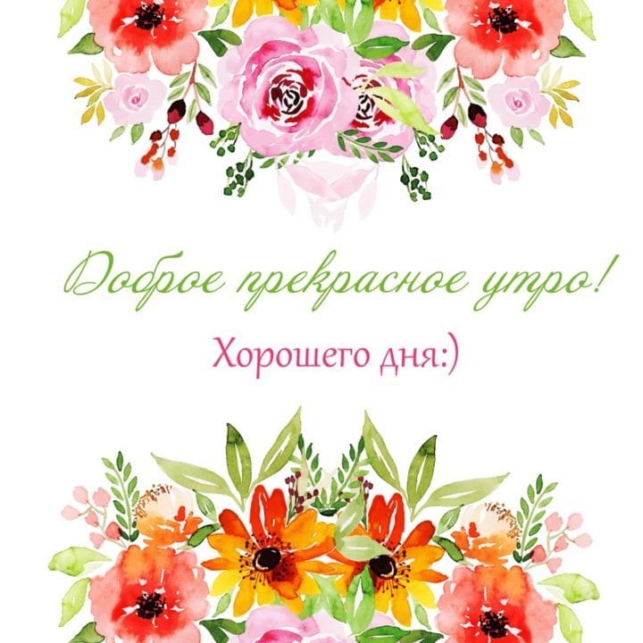 С добрым утром! 138 красивых открыток с цветами #90