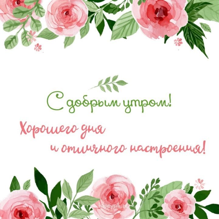 С добрым утром! 138 красивых открыток с цветами #89
