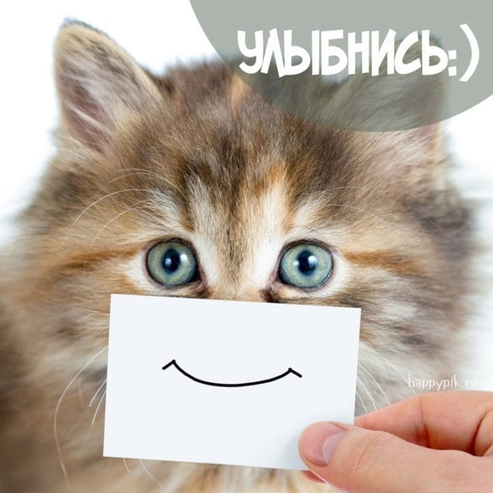 Улыбнись и не грусти! 160 прикольных улыбчивых картинок-открыток #101