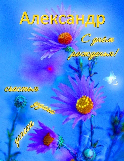 106 открыток Александру с поздравлениями на день рождения #99