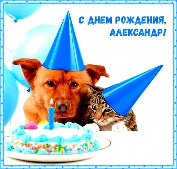106 открыток Александру с поздравлениями на день рождения #47